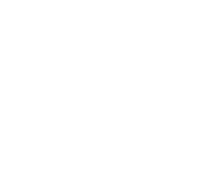 Peak Consultoria